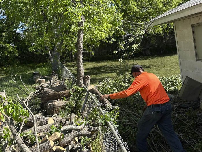 Dam Leones Tree Services LLC