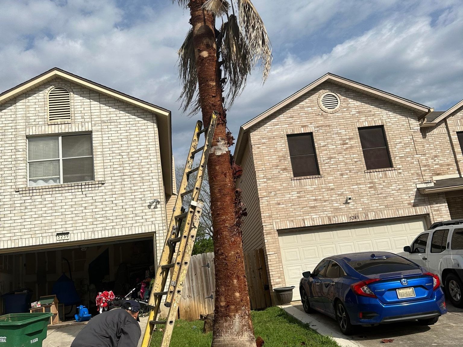 Dam Leones Tree Services LLC