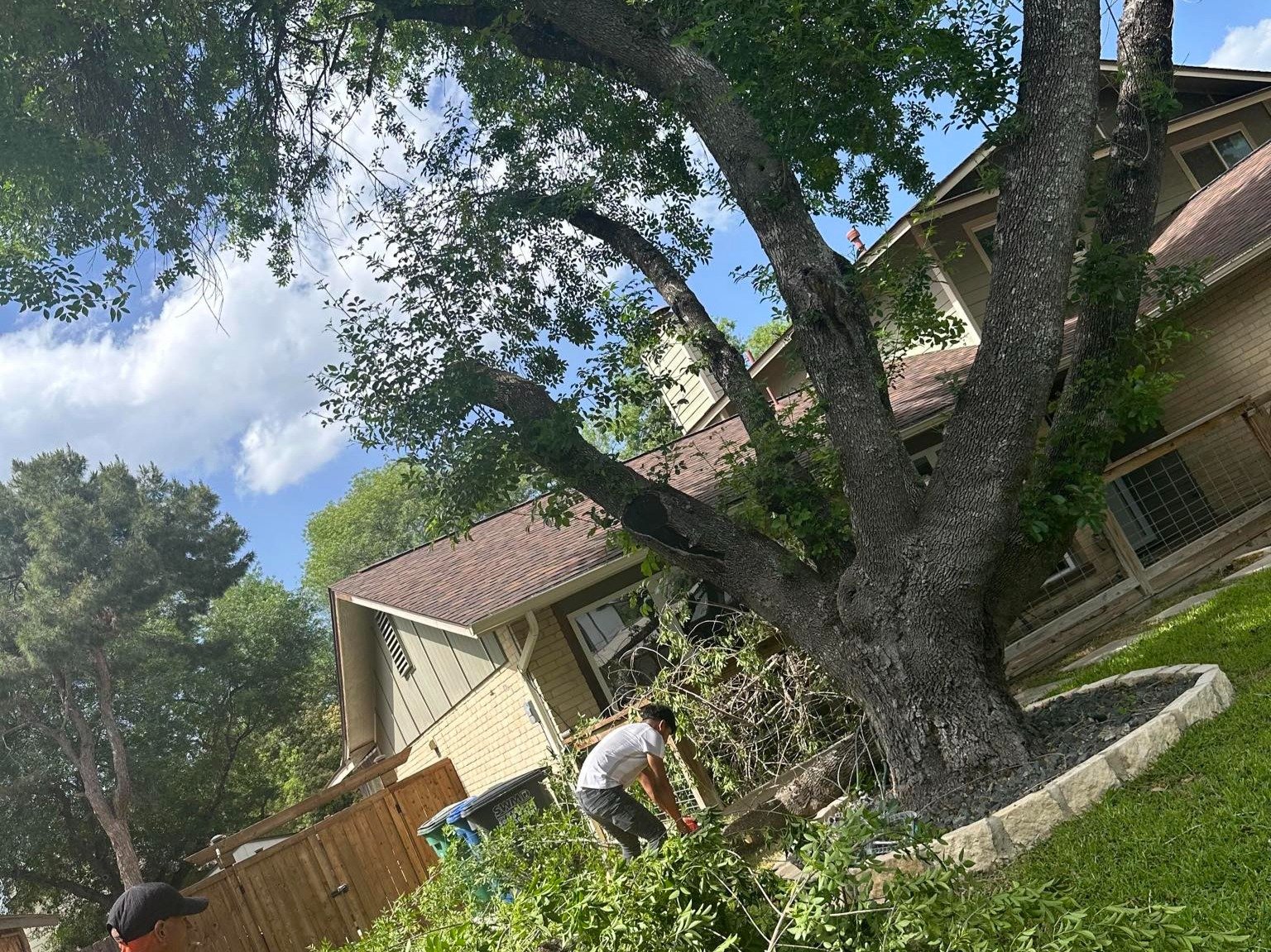 Dam Leones Tree Services LLC