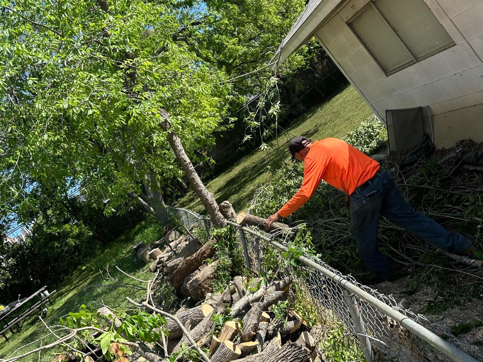 Dam Leones Tree Services LLC