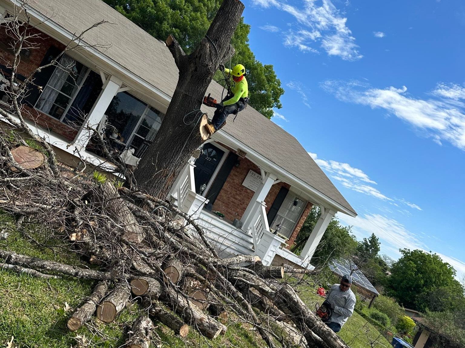 Dam Leones Tree Services LLC