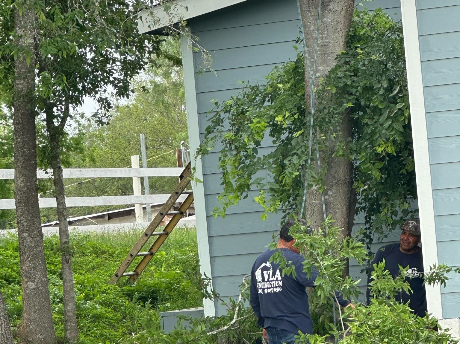 Dam Leones Tree Services LLC