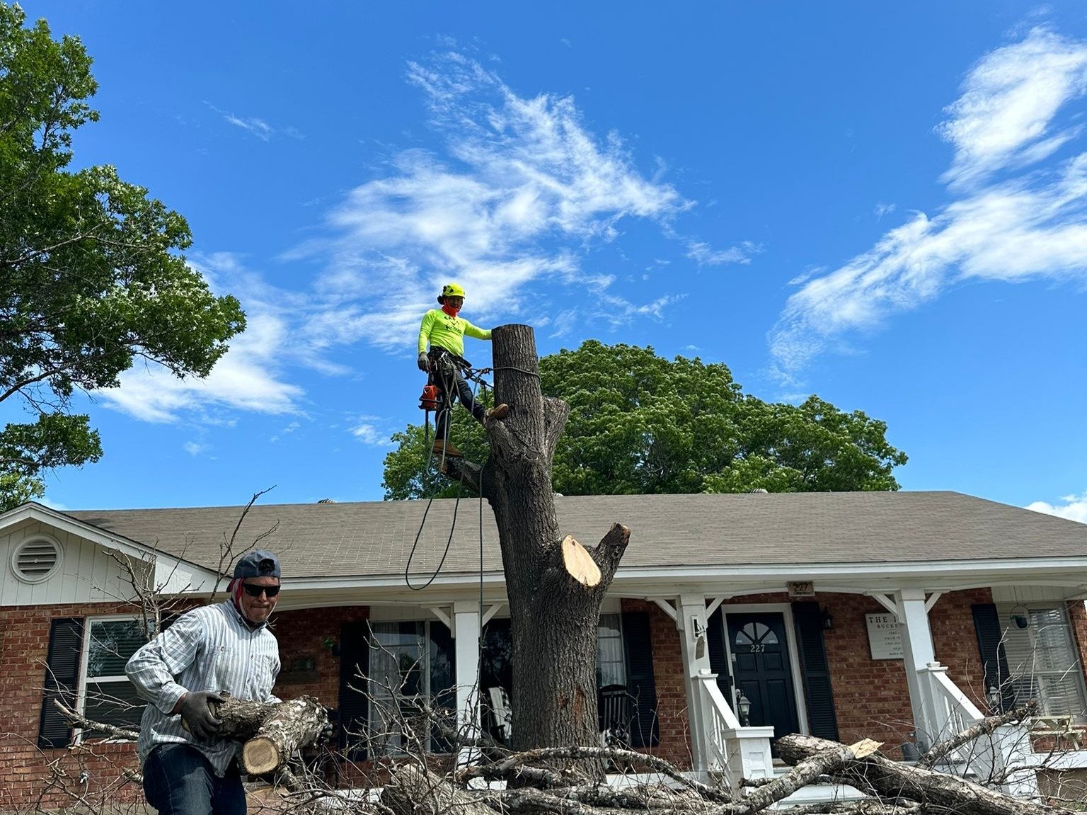 Dam Leones Tree Services LLC