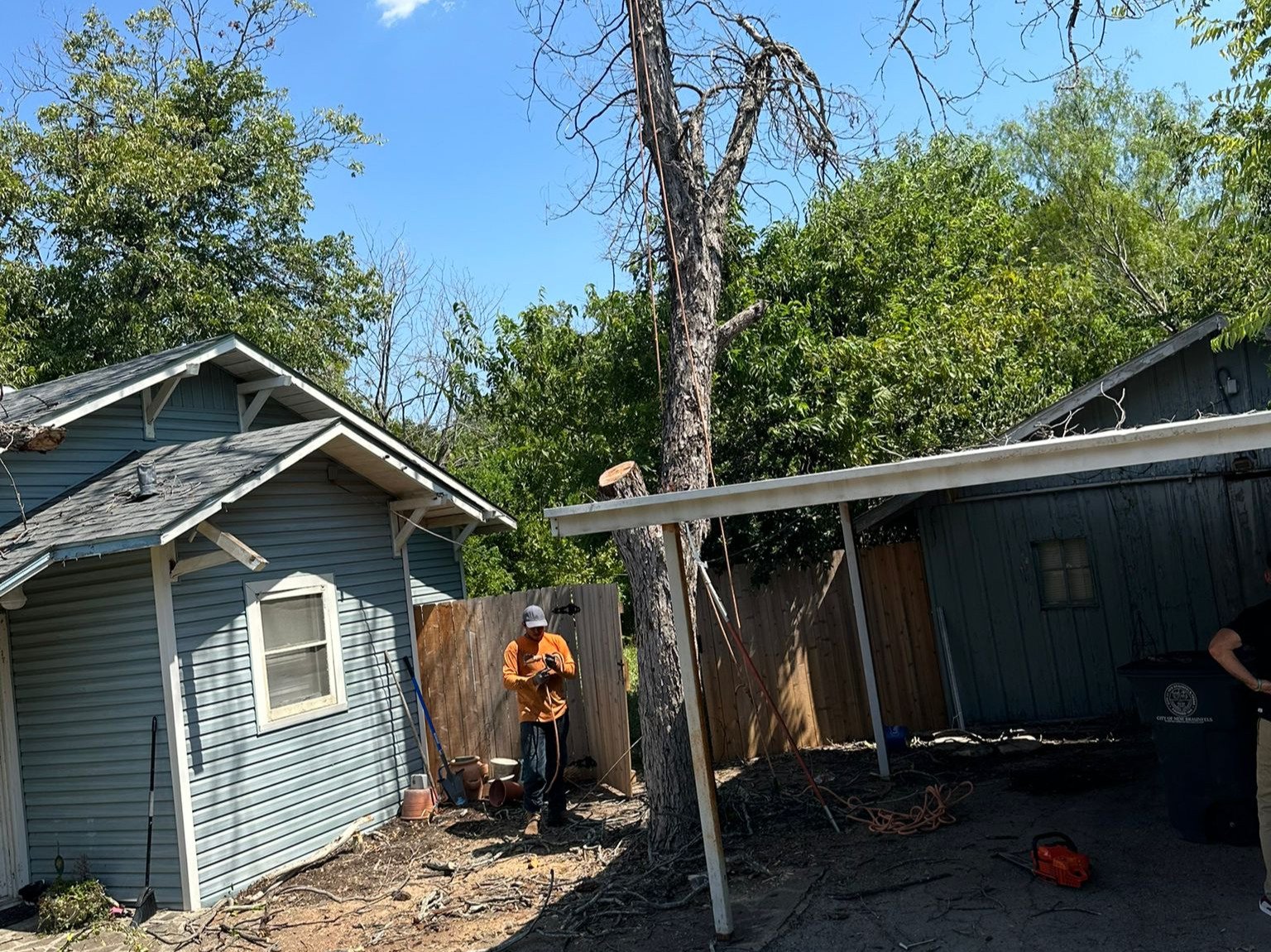 Dam Leones Tree Services LLC